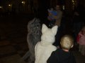 IMGP1712.JPG
